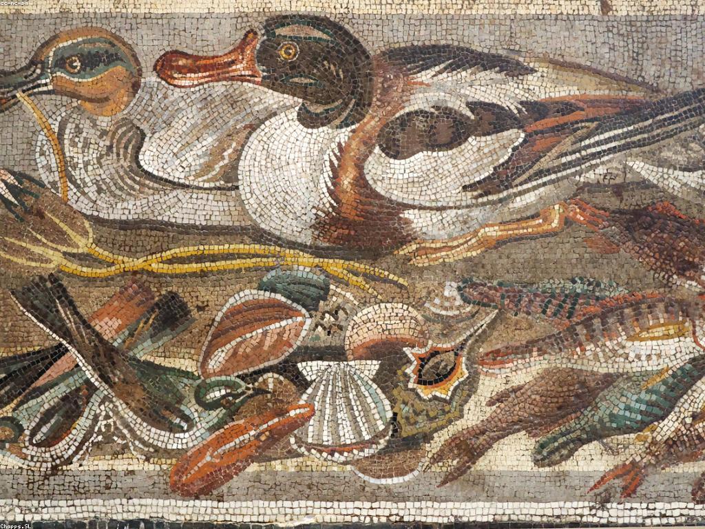 ការរកឃើញអាហារត្រី Rare: ប្រភេទនិងវិធីសាស្រ្តចម្កល់