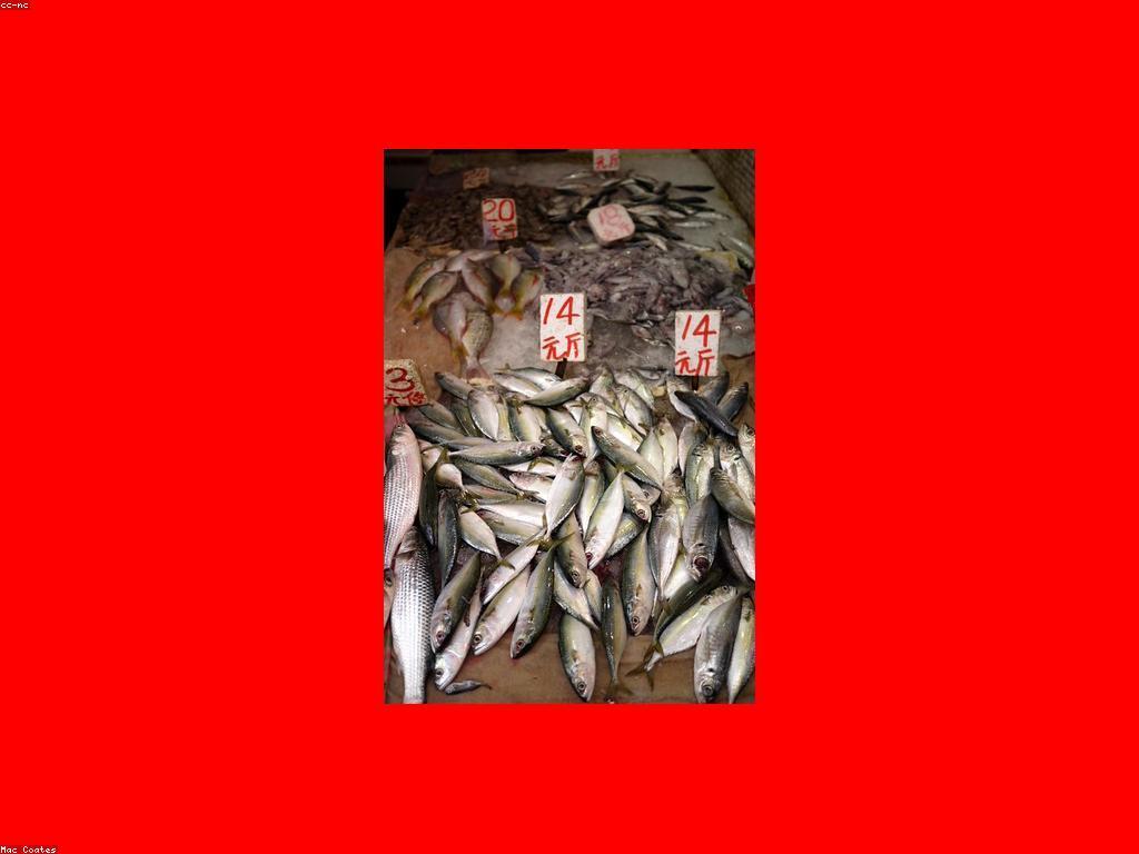 ត្រី Rare និងអត្ថប្រយោជន៍សម្រាប់ការព្យាបាលឧស្ម័ន