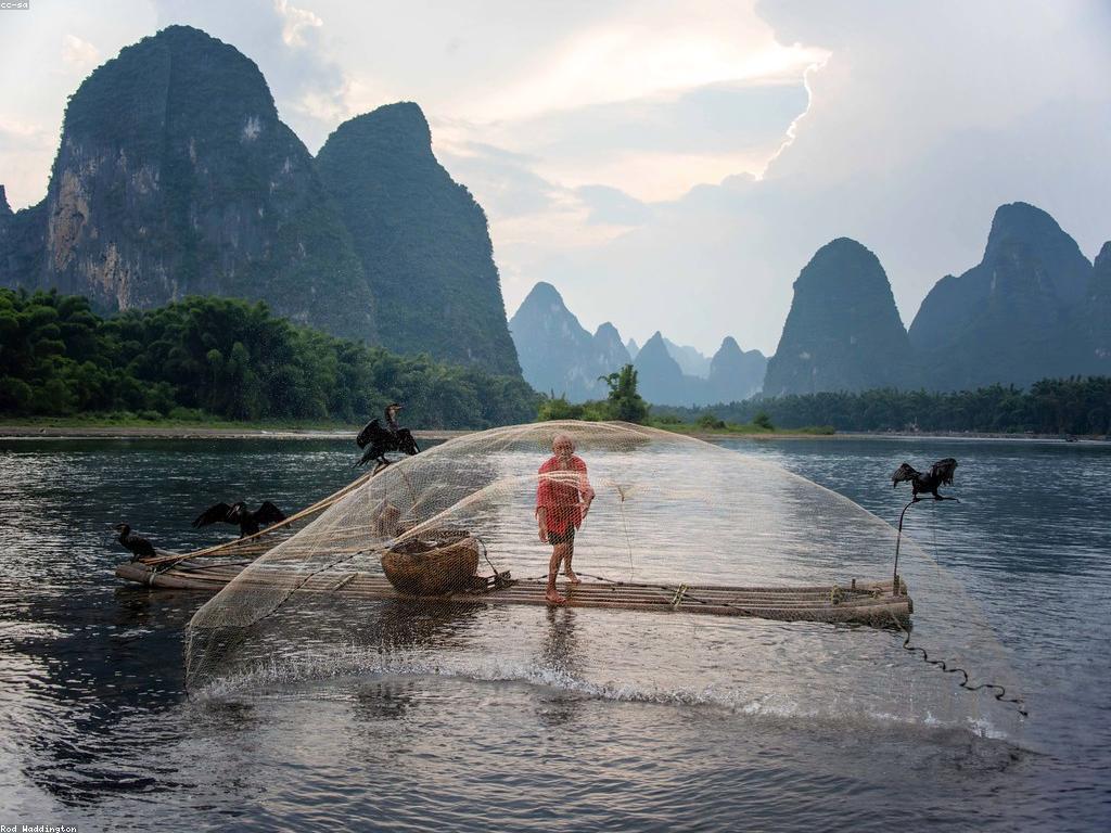 ការល្គាប់ត្រី Rare: ការបង្កើតនូវវប្បធម៌នៃការល្គាប់ត្រីដ៏អស្ចារ្យ